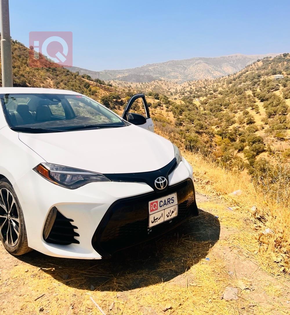 تويوتا كورولا